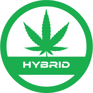 Hybrid-strain-terpfex